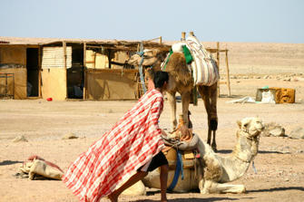 052-Egypt.jpg