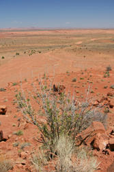 166 Monument Valley.jpg
