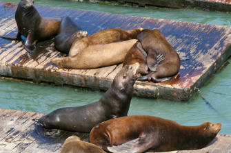 249 San Francisco.jpg