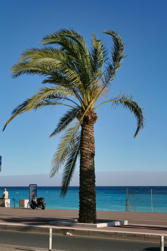 008 Beach.jpg