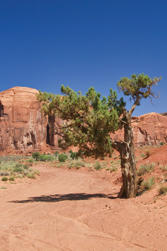 159 Monument Valley.jpg