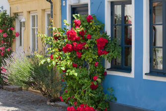 004 Ystad.jpg