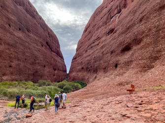 151-Australia.jpg